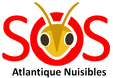 Logo transparent de SOS Atlantique Nuisibles